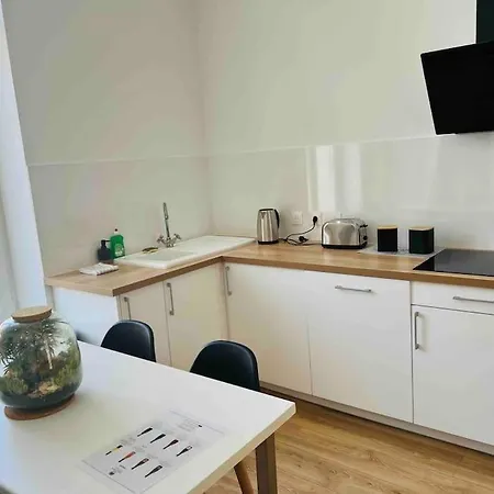 Cosy T3 Centre Reims/pkg Prive شقة رانس