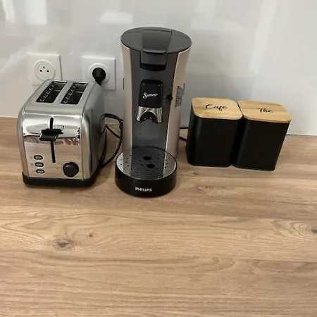 Cosy T3 Centre Reims/pkg Prive شقة رانس